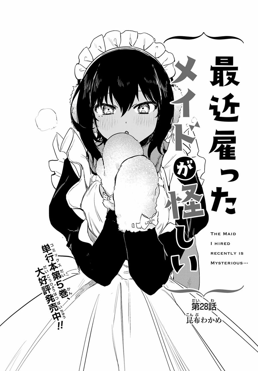 My Recently Hired Maid Is Suspicious (Serialization)